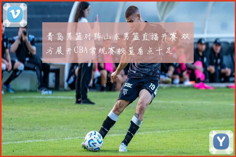 青岛男篮对阵山东男篮直播开赛 双方展开CBA常规赛较量看点十足