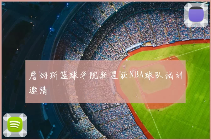 詹姆斯篮球学院新星获NBA球队试训邀请