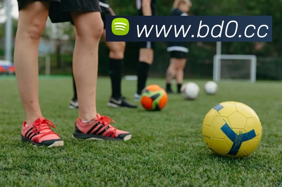 c7网页版 - c7(中国)发展历程